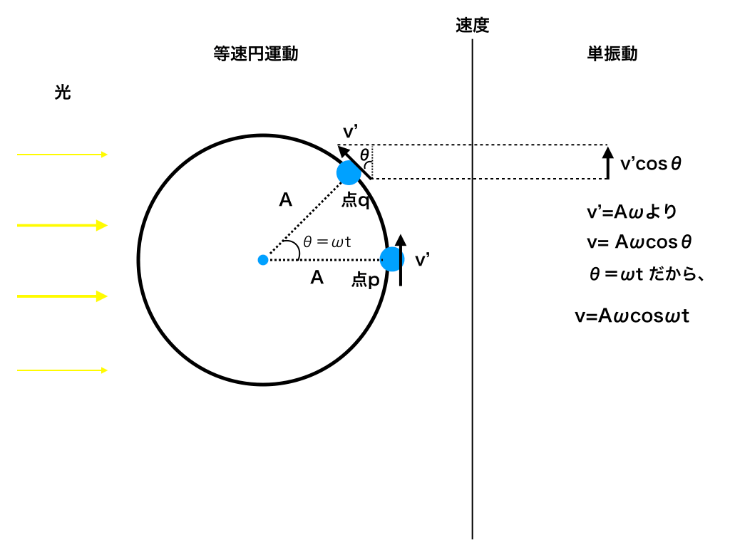 単振動と等速円運動（速度の導出）
