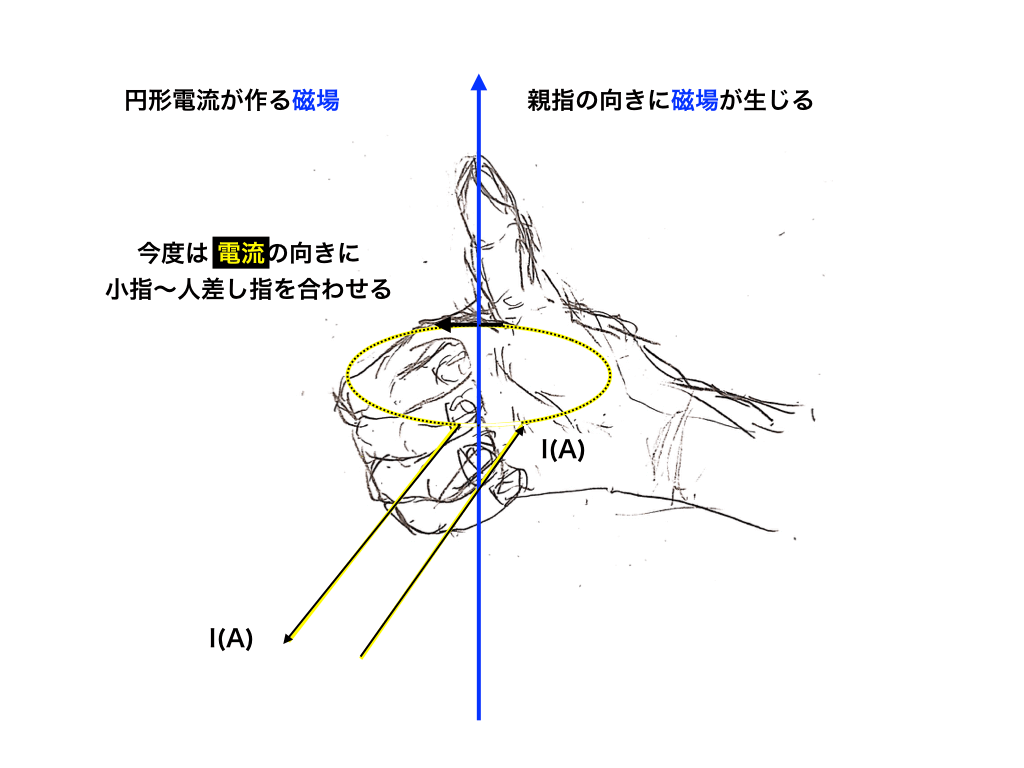 円形の電流と磁場
