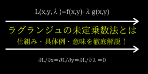ラグランジュの未定乗数法の意味/仕組み/やり方をわかりやすく解説
